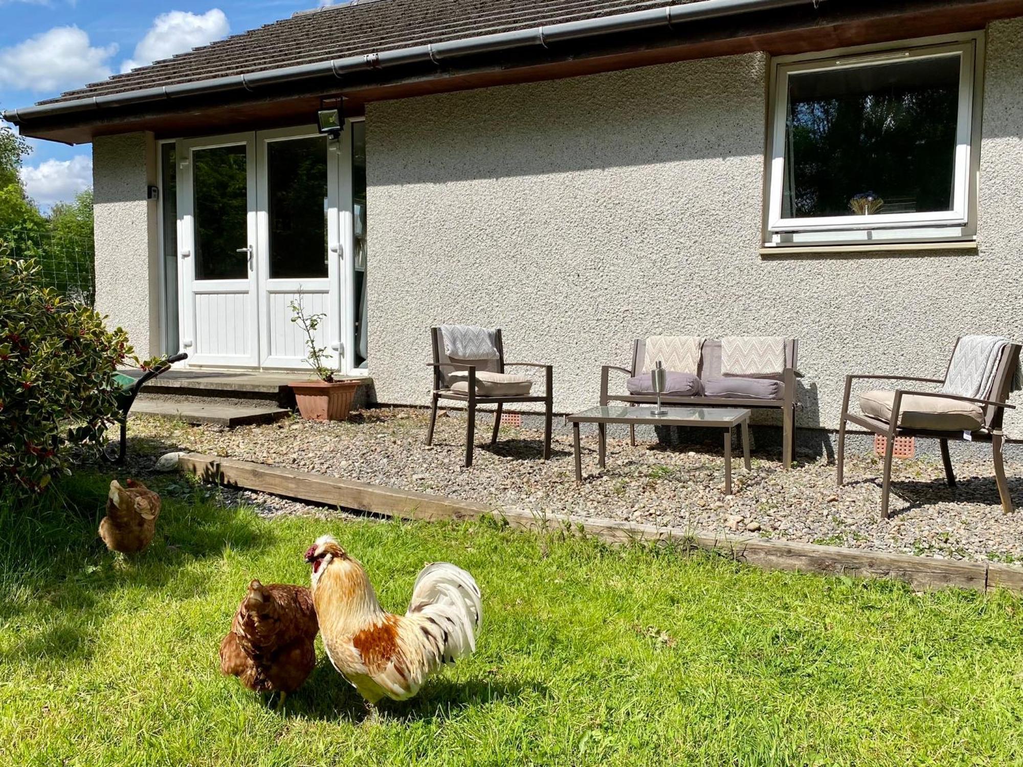Homestead Cottage, Fort Augustus Exterior foto